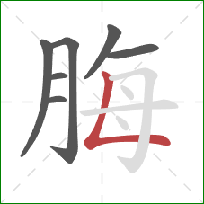 脢的笔顺第7画：竖折/竖弯