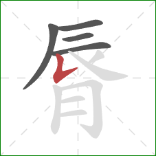 脣的笔顺第5画：竖提