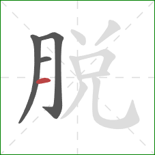 脫的笔顺第4画：横