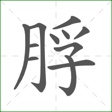 脬的笔顺