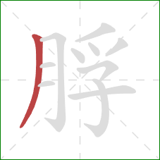 脬的笔顺第1画：撇