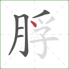 脬的笔顺第6画：点