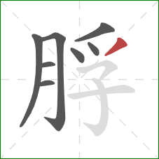 脬的笔顺第8画：撇