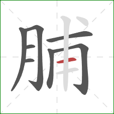 脯的笔顺第8画：横