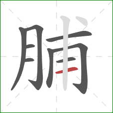 脯的笔顺第9画：横