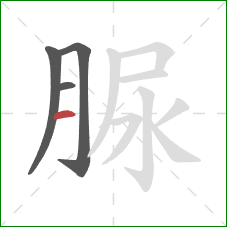 脲的笔顺第4画：横