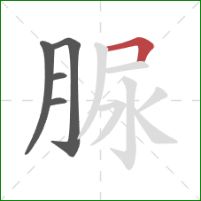 脲的笔顺第5画：横折