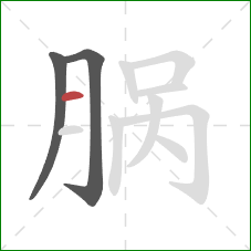 脶的笔顺第3画：横