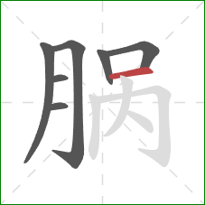 脶的笔顺第7画：横