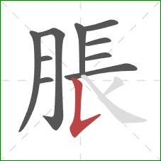 脹的笔顺第10画：竖提