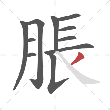 脹的笔顺第11画：撇