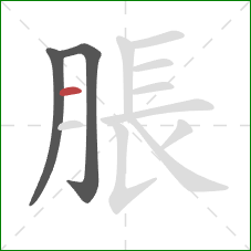 脹的笔顺第3画：横