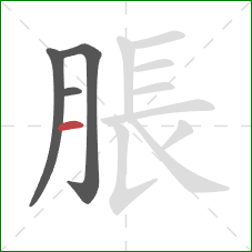 脹的笔顺第4画：横