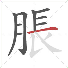 脹的笔顺第9画：横