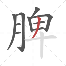 脾的笔顺第10画：撇