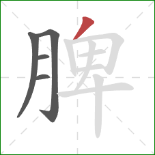 脾的笔顺第5画：撇