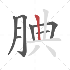 腆的笔顺第8画：竖