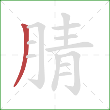 腈的笔顺第1画:撇 腈的笔顺第1画:撇