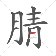 腈的笔顺第11画:横 腈的笔顺第11画:横