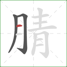 腈的笔顺第3画:横 腈的笔顺第3画:横