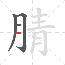 腈的笔顺第4画:横 腈的笔顺第4画:横