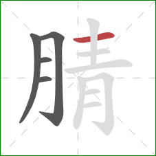 腈的笔顺第5画:横 腈的笔顺第5画:横