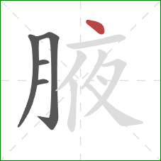 腋的笔顺第5画：点