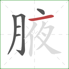 腋的笔顺第6画：横