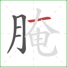 腌的笔顺第5画:横 腌的笔顺第5画:横