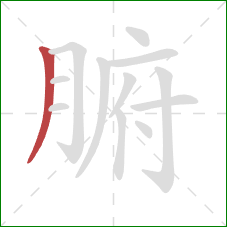 腑的笔顺第1画：撇