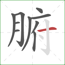 腑的笔顺第10画：横