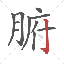 腑的笔顺第11画：竖钩