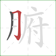 腑的笔顺第2画：横折钩