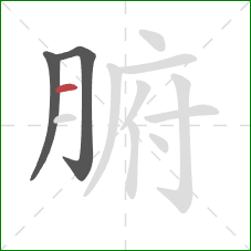 腑的笔顺第3画：横