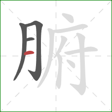 腑的笔顺第4画：横