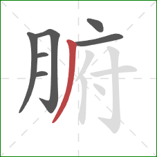 腑的笔顺第7画：撇