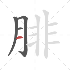 腓的笔顺第4画：横