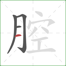 腔的笔顺第4画：横