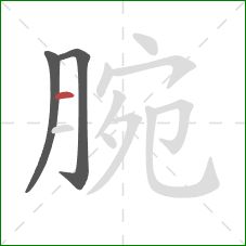 腕的笔顺第3画:横 腕的笔顺第3画:横