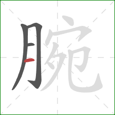 腕的笔顺第4画:横 腕的笔顺第4画:横