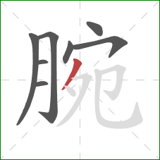 腕的笔顺第8画:撇 腕的笔顺第8画:撇