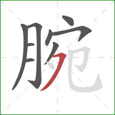 腕的笔顺第9画:横撇 腕的笔顺第9画:横撇