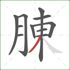 腖的笔顺第11画：撇