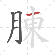 腖的笔顺第5画：横