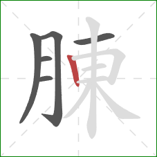 腖的笔顺第6画：竖