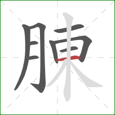 腖的笔顺第9画：横