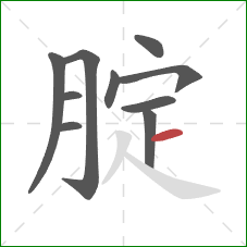 腚的笔顺第10画：横