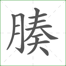 腠的笔顺 腠的笔顺