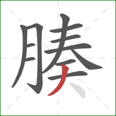 腠的笔顺第12画:撇 腠的笔顺第12画:撇