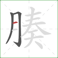 腠的笔顺第3画:横 腠的笔顺第3画:横